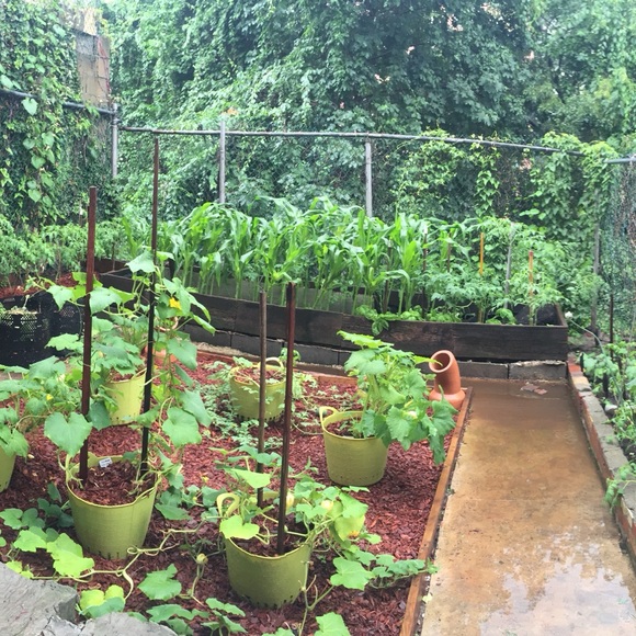 Meet your Posher, Fabiana π€©π - Picture 14 of 15